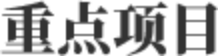 重点项目